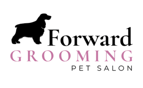 Forward Dog Grooming